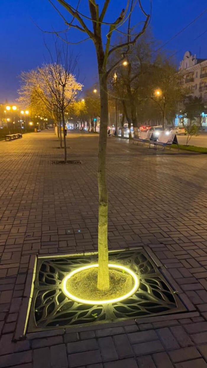 Приствольная решетка для дерева ZKING CRUST 1.2х1.2м Черная в Южно-Сахалинске фото